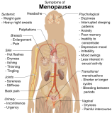 fibroids during menopause